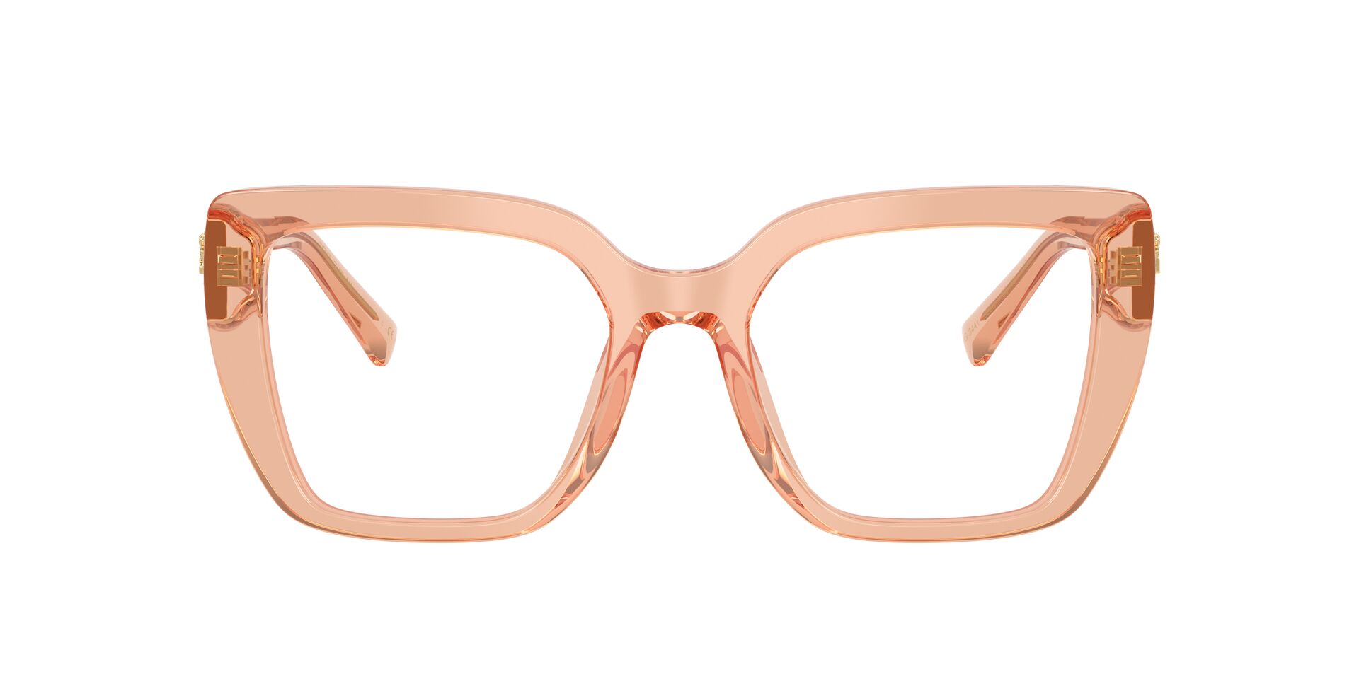 DOLCE & GABBANA DG3441