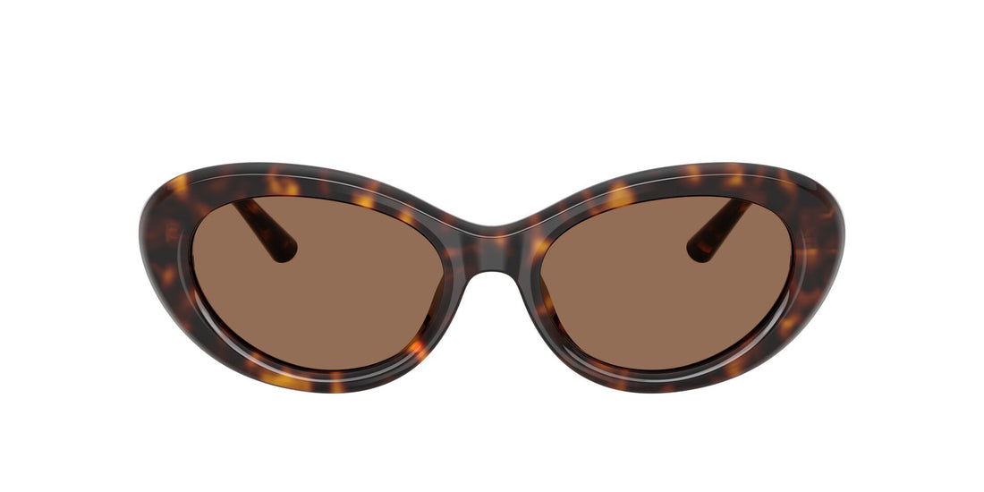 DOLCE&GABBANA DG4519