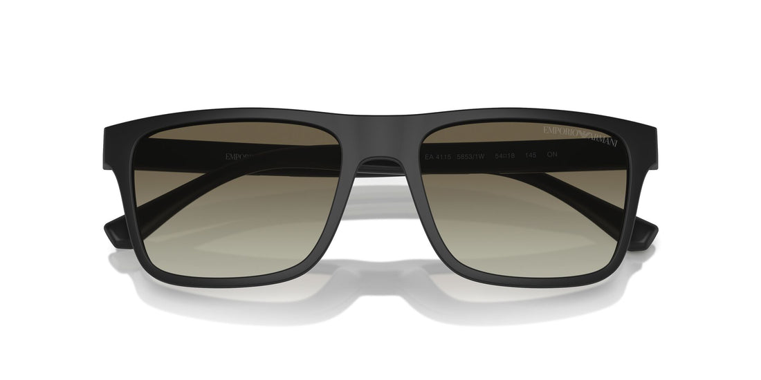 EMPORIO ARMANI EA 4115