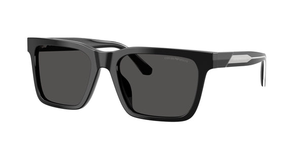 Hover image of EMPORIO ARMANI EA 4262U