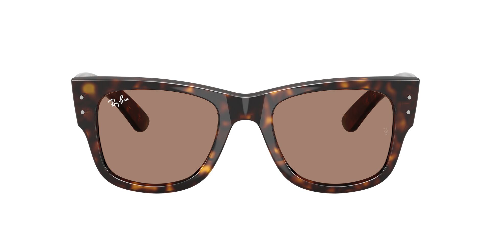 Ray Ban RB0840S