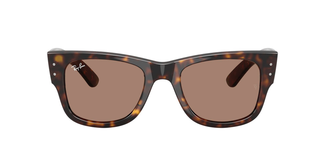 Ray Ban RB0840S