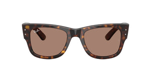 Ray Ban RB0840S