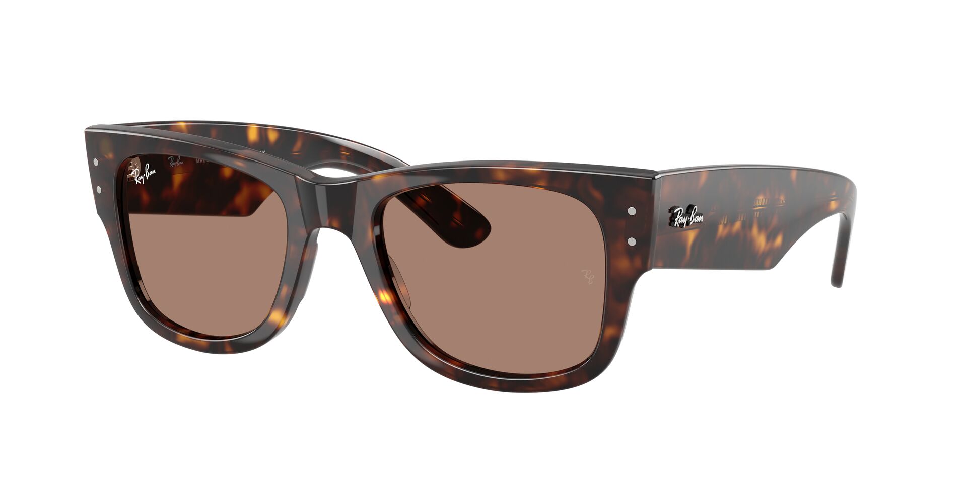 Ray Ban RB0840S