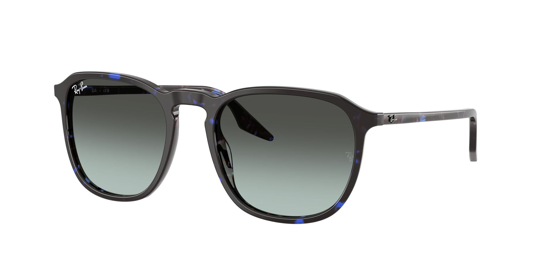 Ray Ban 0RB2203 alternate view
