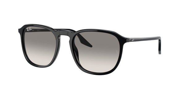 Hover image of Ray Ban 0RB2203