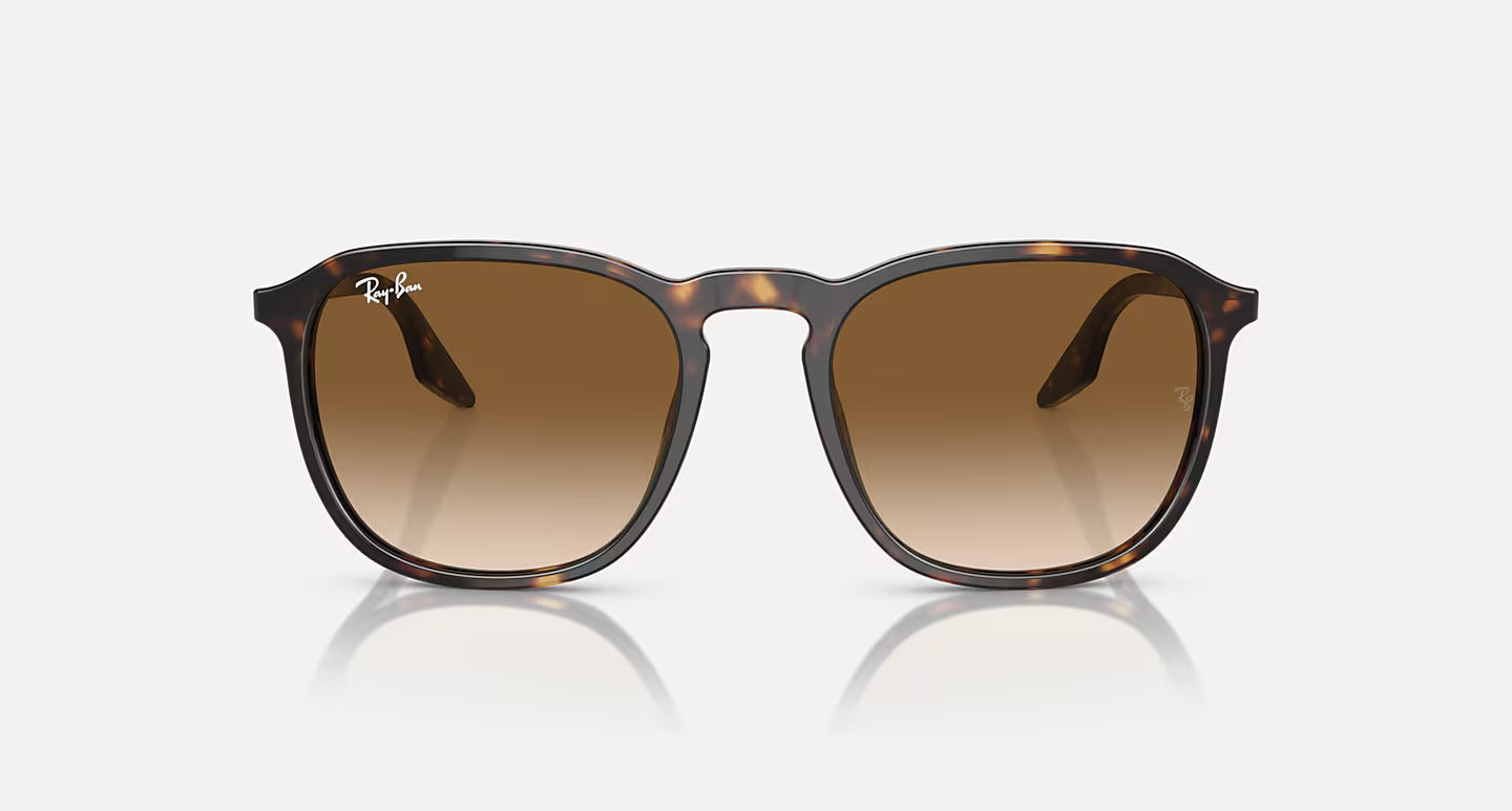 Ray Ban RB2203 alternate view