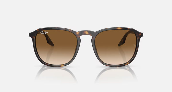 Hover image of Ray-Ban RB2203