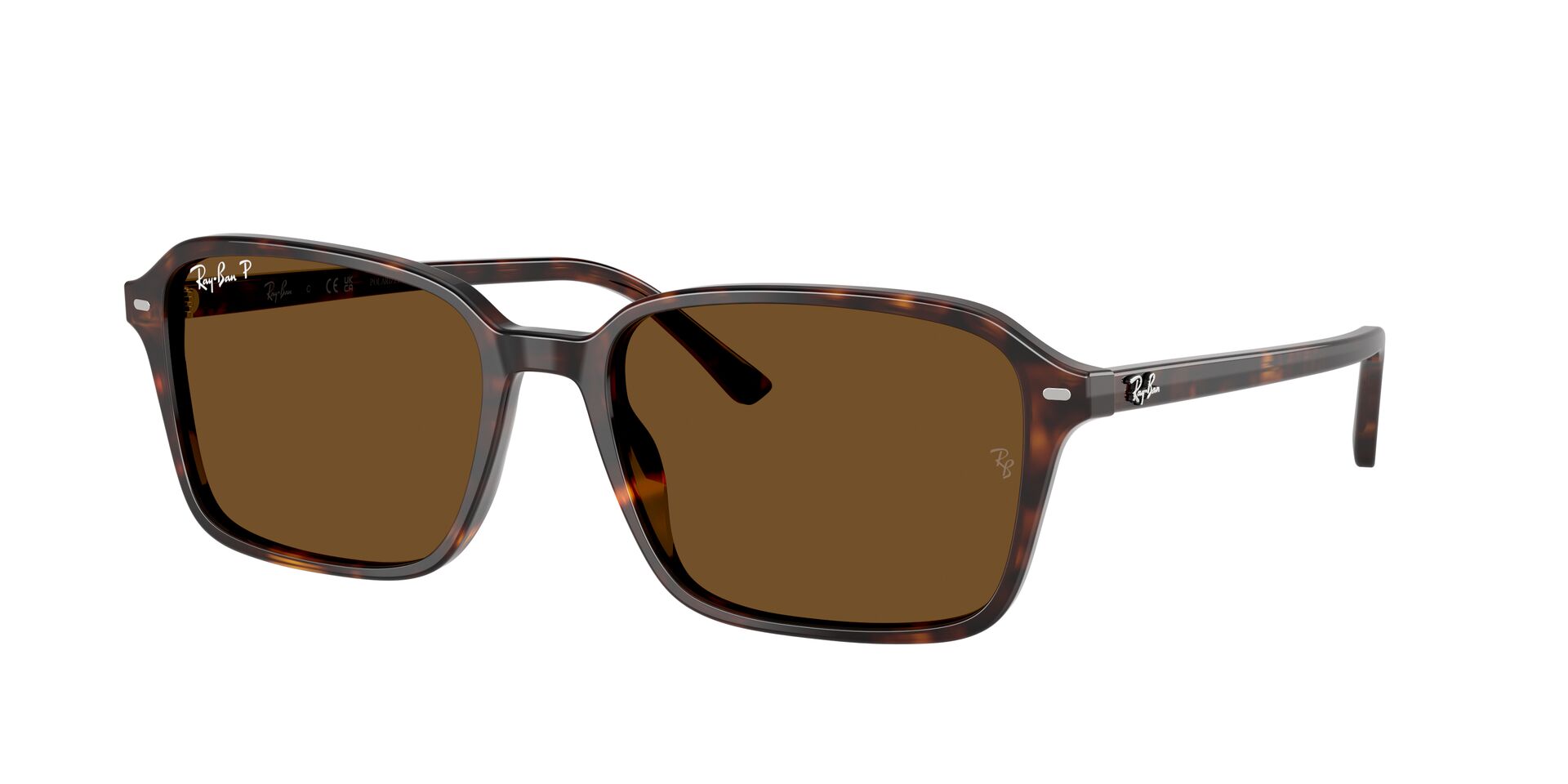 Ray Ban 0RB2231 alternate view