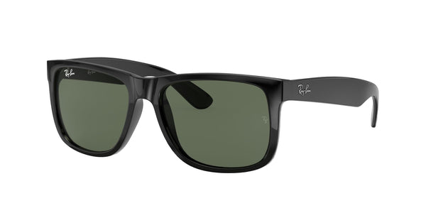 Ray Ban 0RB4165