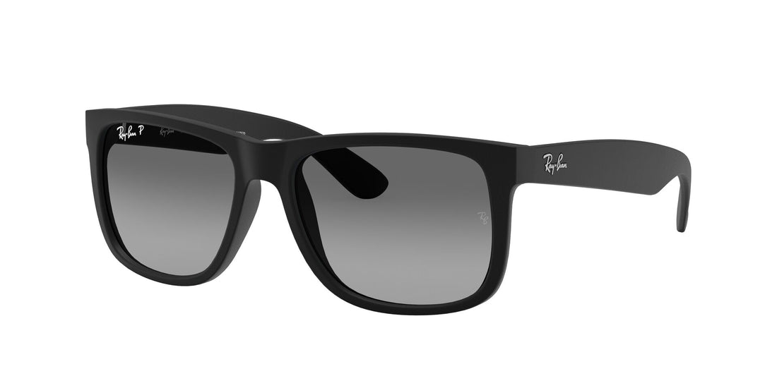 Ray Ban 0RB4165