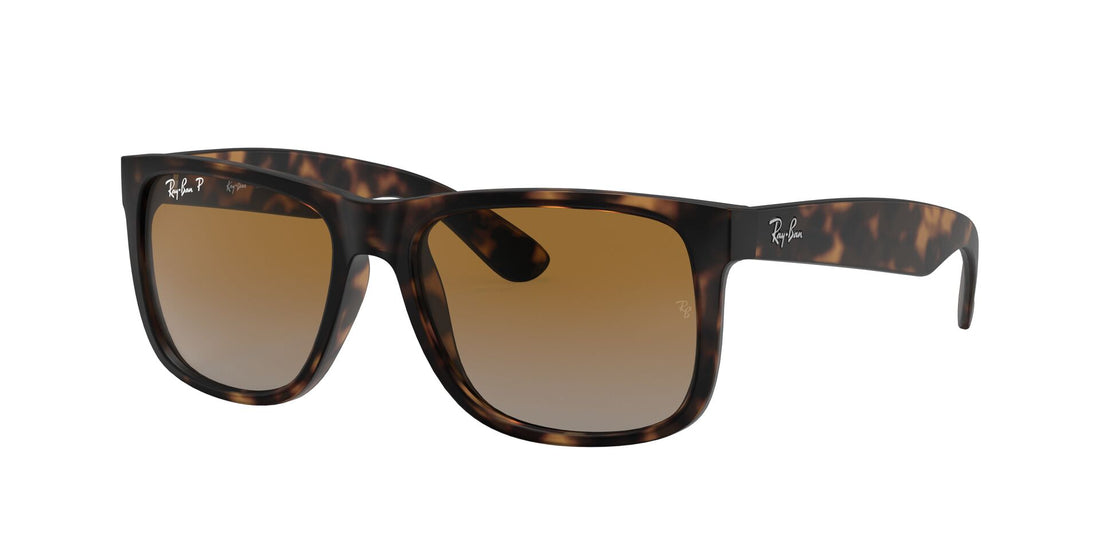 Ray Ban 0RB4165