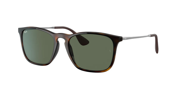 Ray Ban 0RB4187