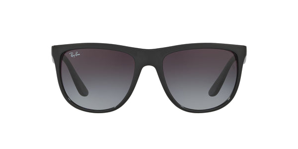Hover image of Ray Ban 0RB4251I