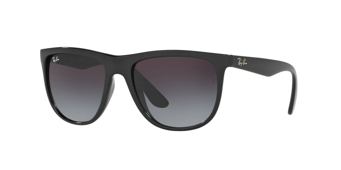 Ray Ban 0RB4251I