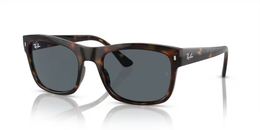 Ray-Ban RB4428 alternate view
