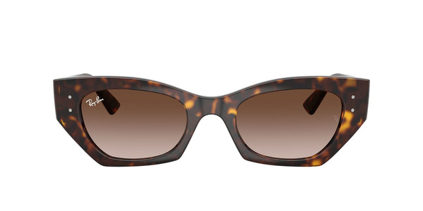 Hover image of Ray Ban 0RB4430