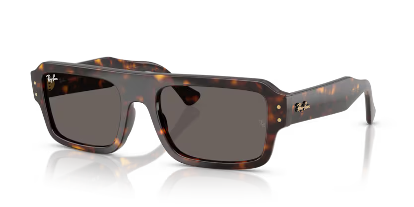 Ray-Ban RB4454
