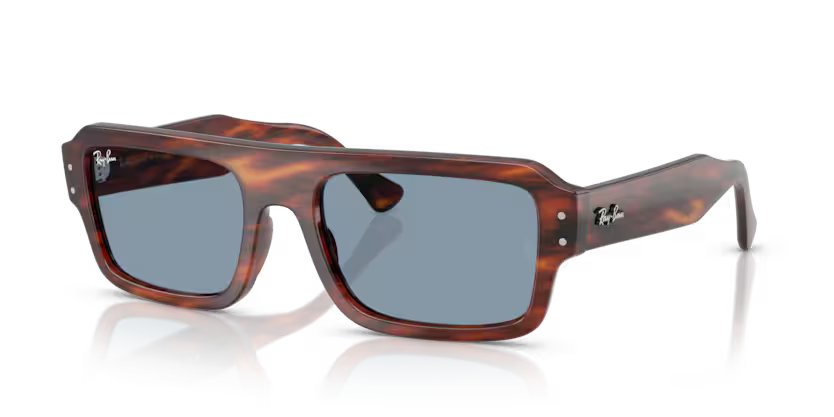 Ray-Ban RB4454