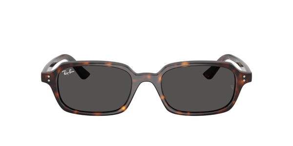 Hover image of Ray Ban 0RB4455