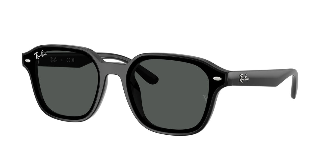 Ray Ban 0RB4458D