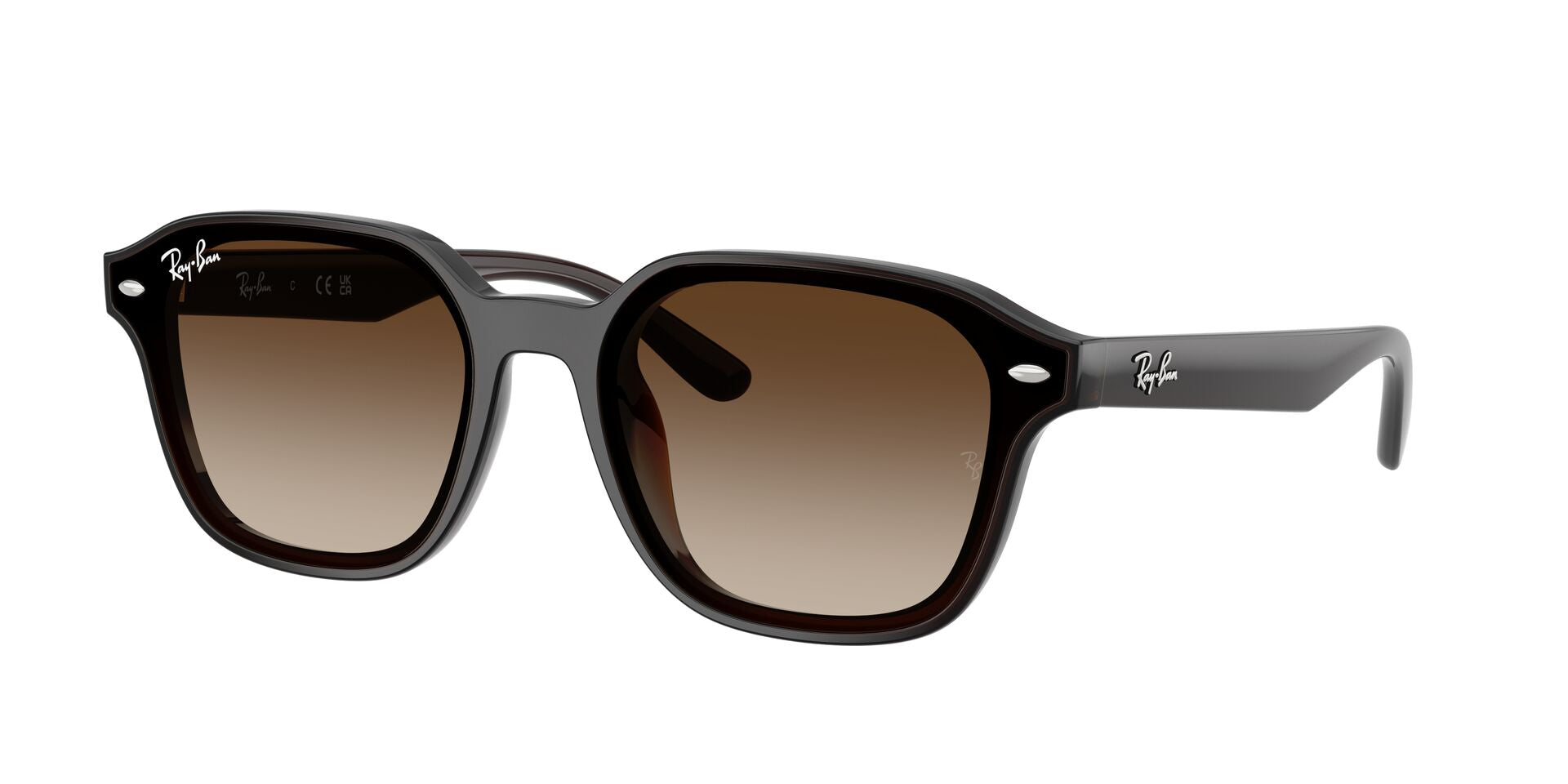 Ray Ban 0RB4458D alternate view