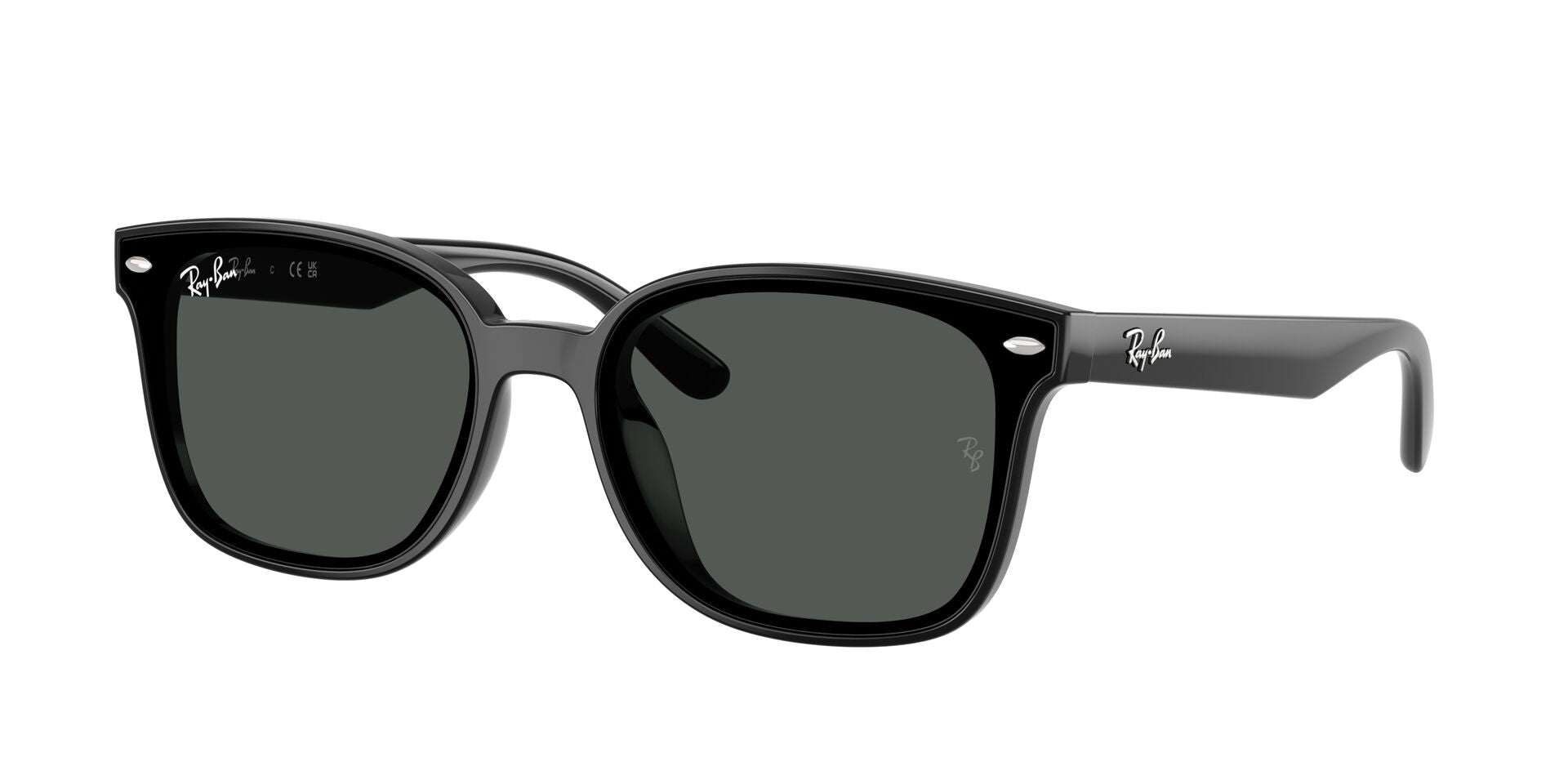 Ray Ban 0RB4461D alternate view