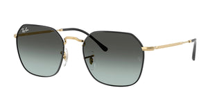 Ray Ban RB3694