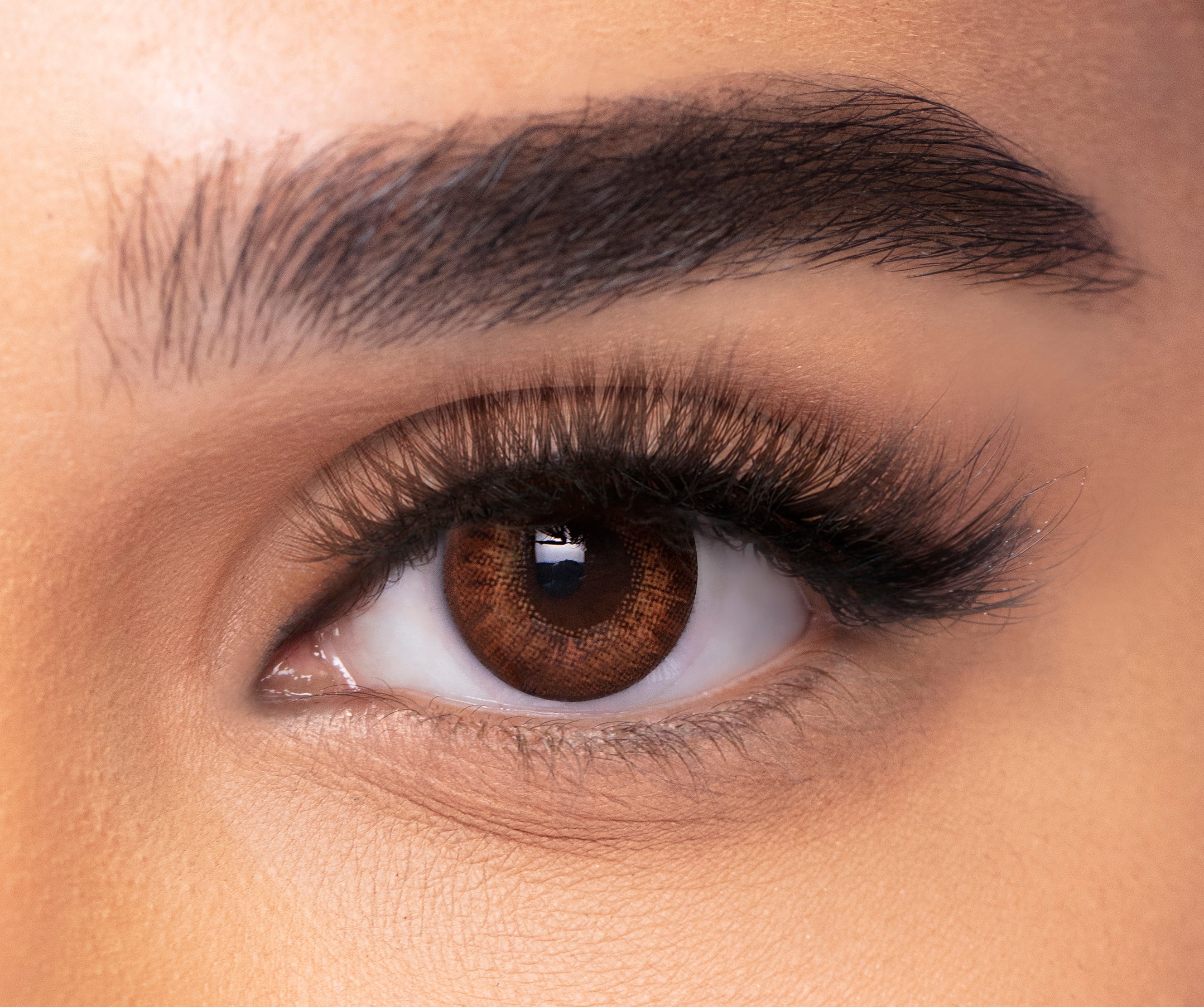 FRESHLOOK™ COLORBLENDS
