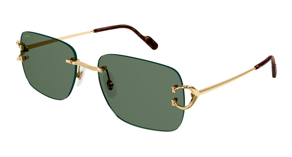 Hover image of CARTIER CT0330S
