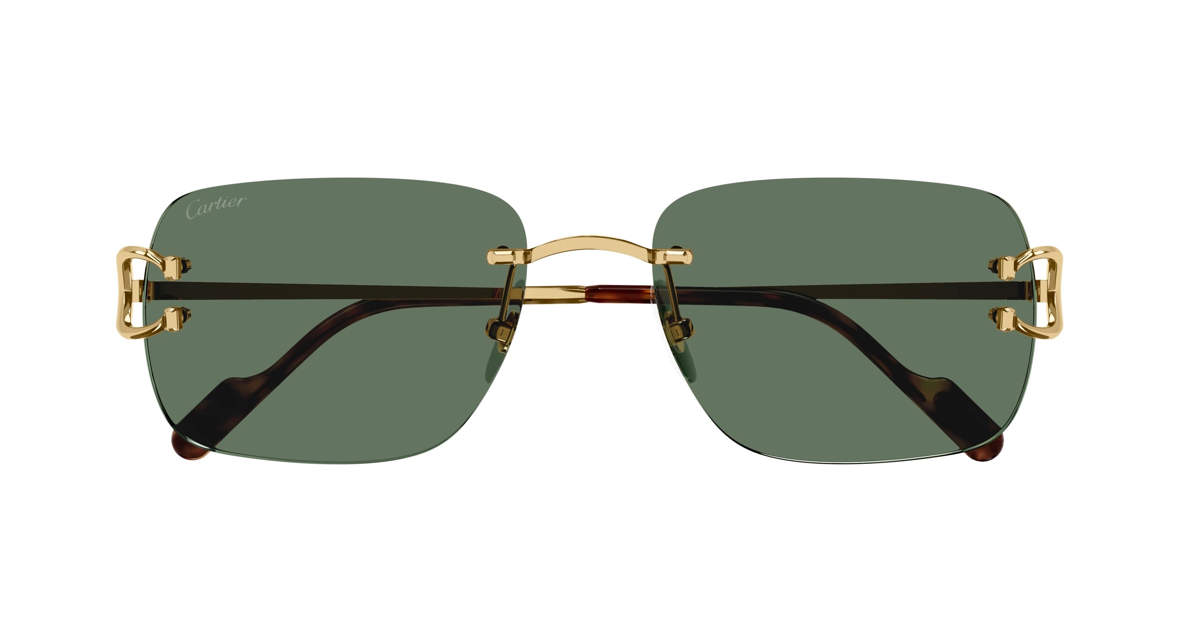 CARTIER CT0330S