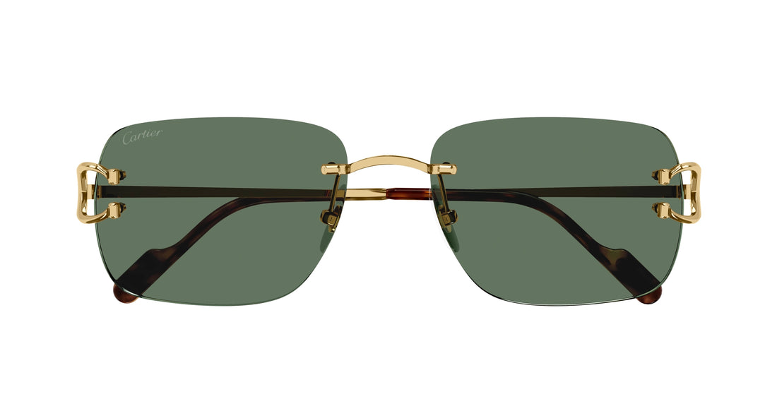 CARTIER CT0330S