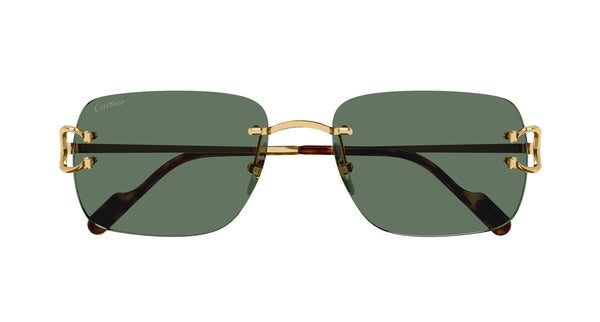 CARTIER CT0330S