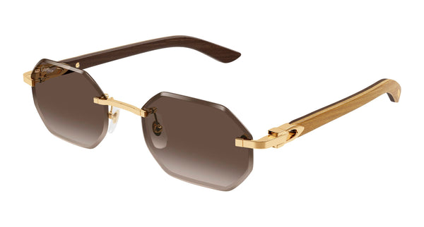 Hover image of CARTIER CT0439S