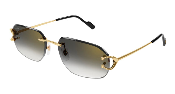 Hover image of CARTIER CT0468S