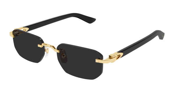 Hover image of CARTIER CT0622S