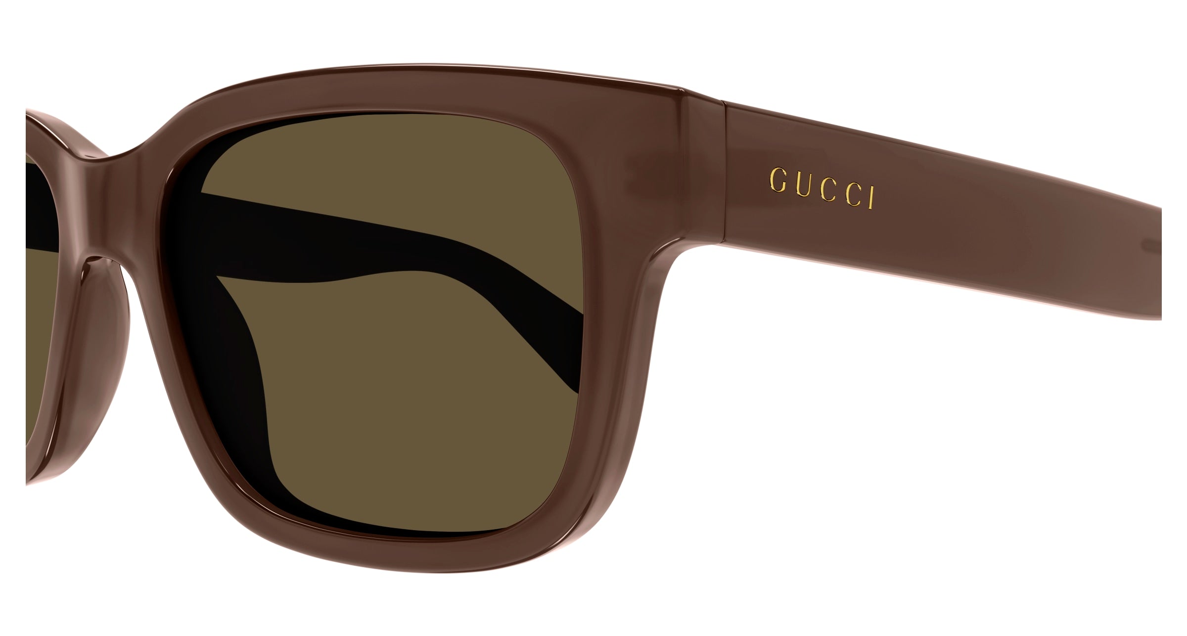 GUCCI GG1583S
