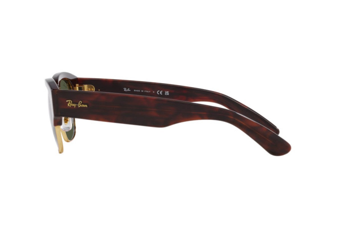 RAYBAN RB0316