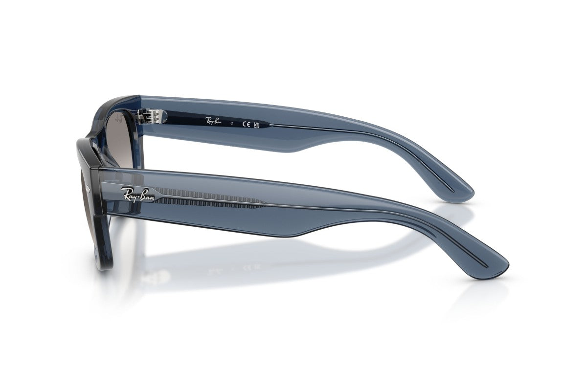 RAYBAN RB0832S