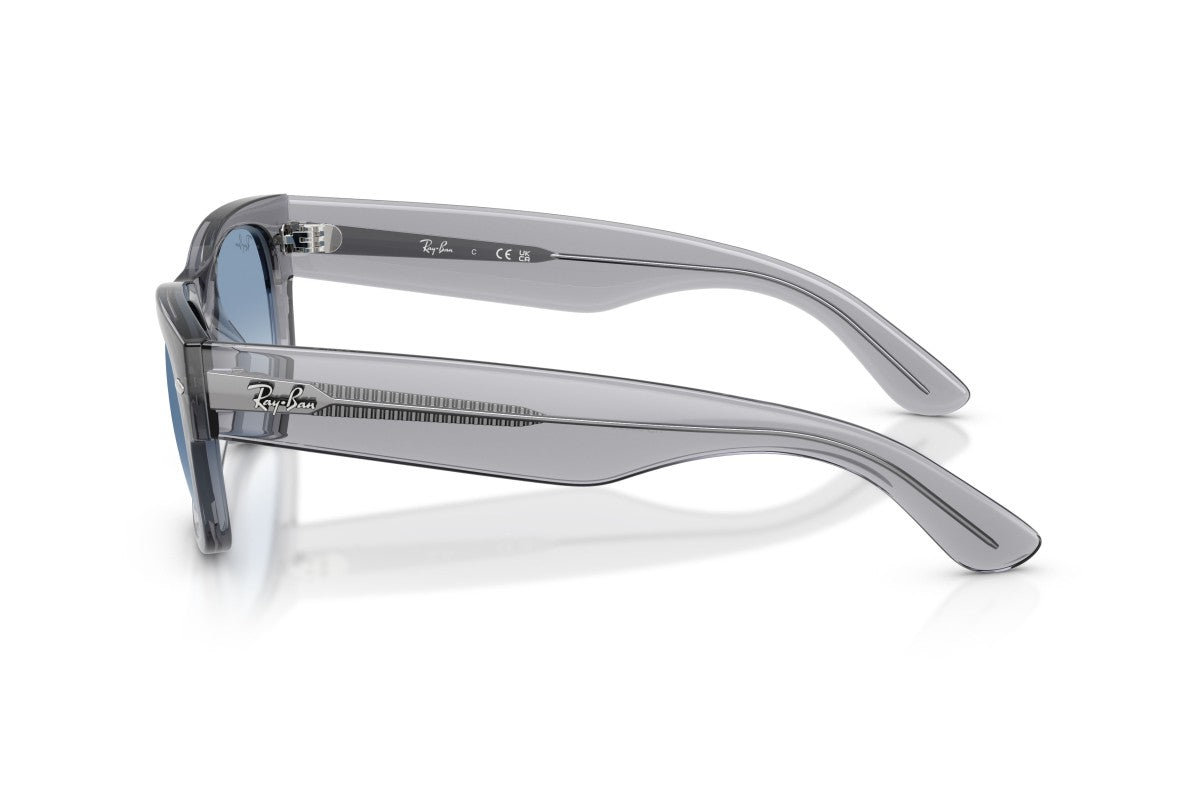 RAYBAN RB0832S