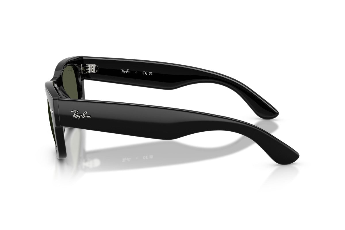 RAYBAN RB0832S