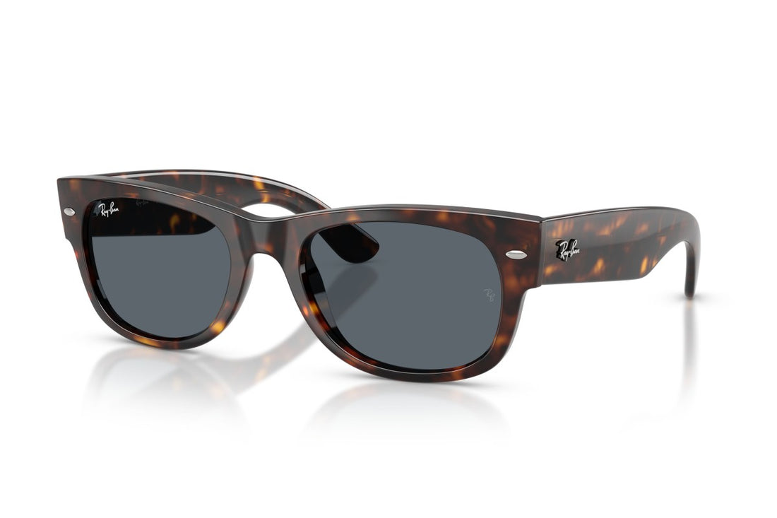 RAYBAN RB0832S