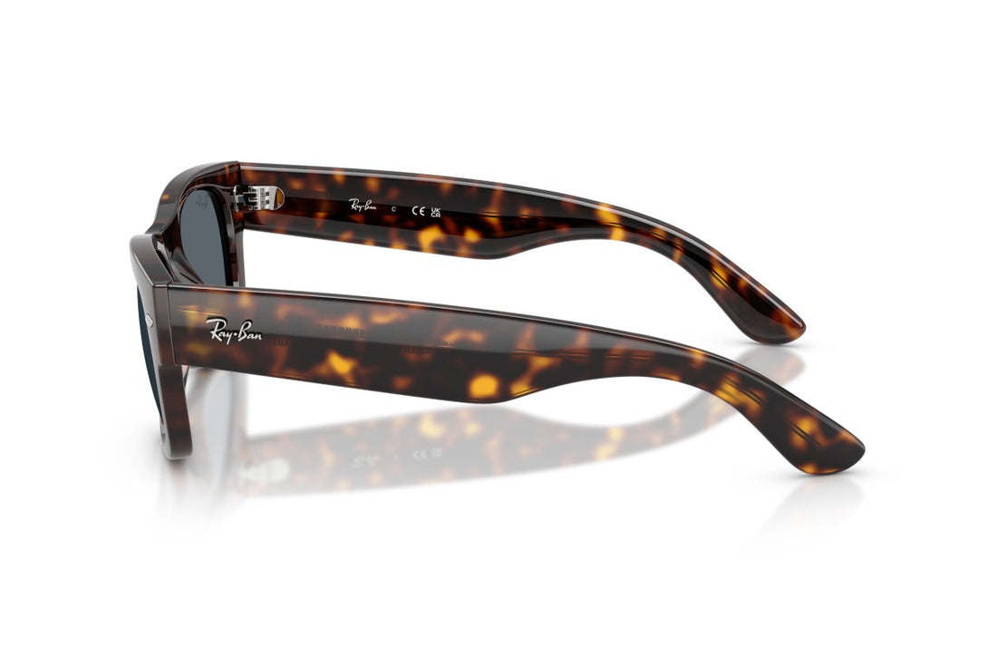 RAYBAN RB0832S
