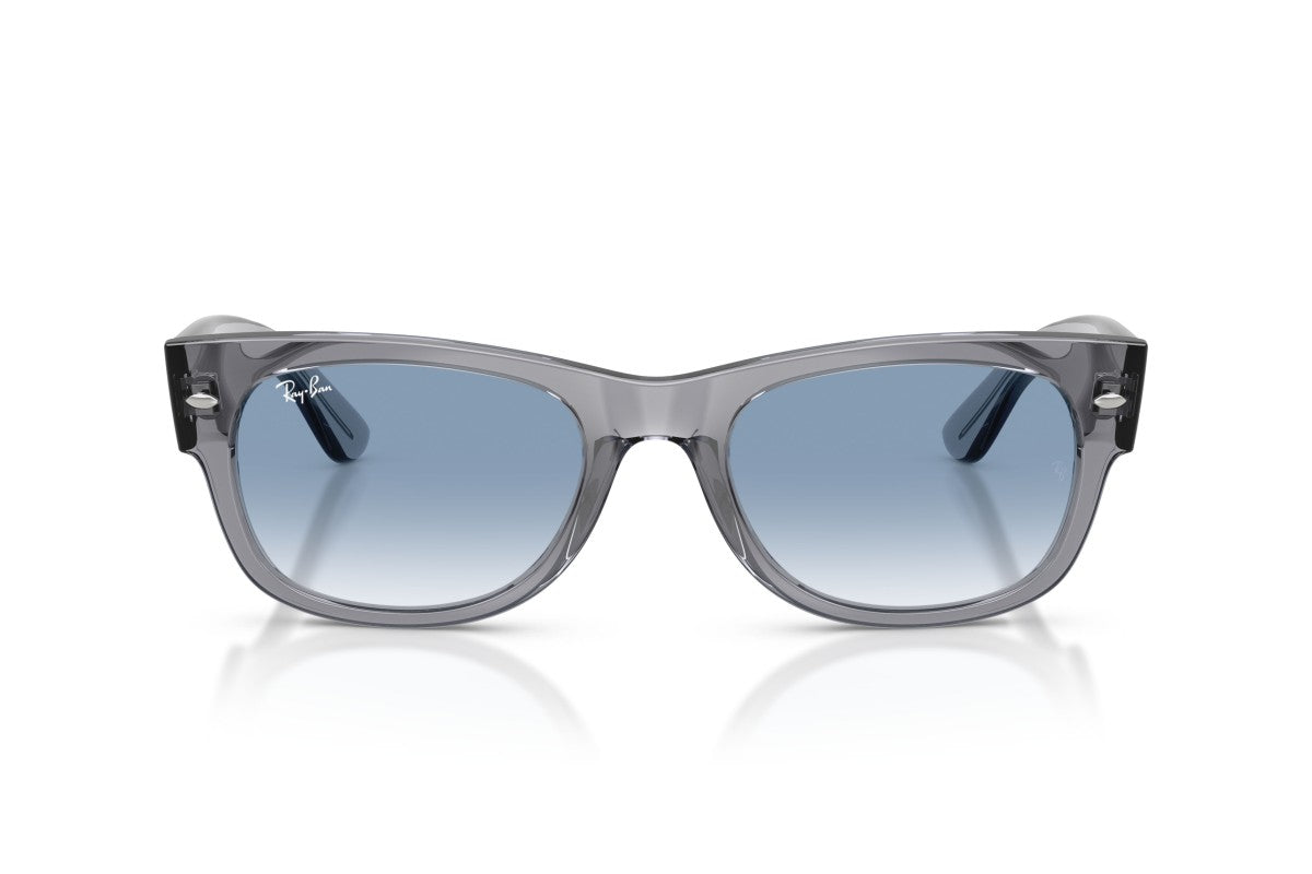 RAYBAN RB0832S