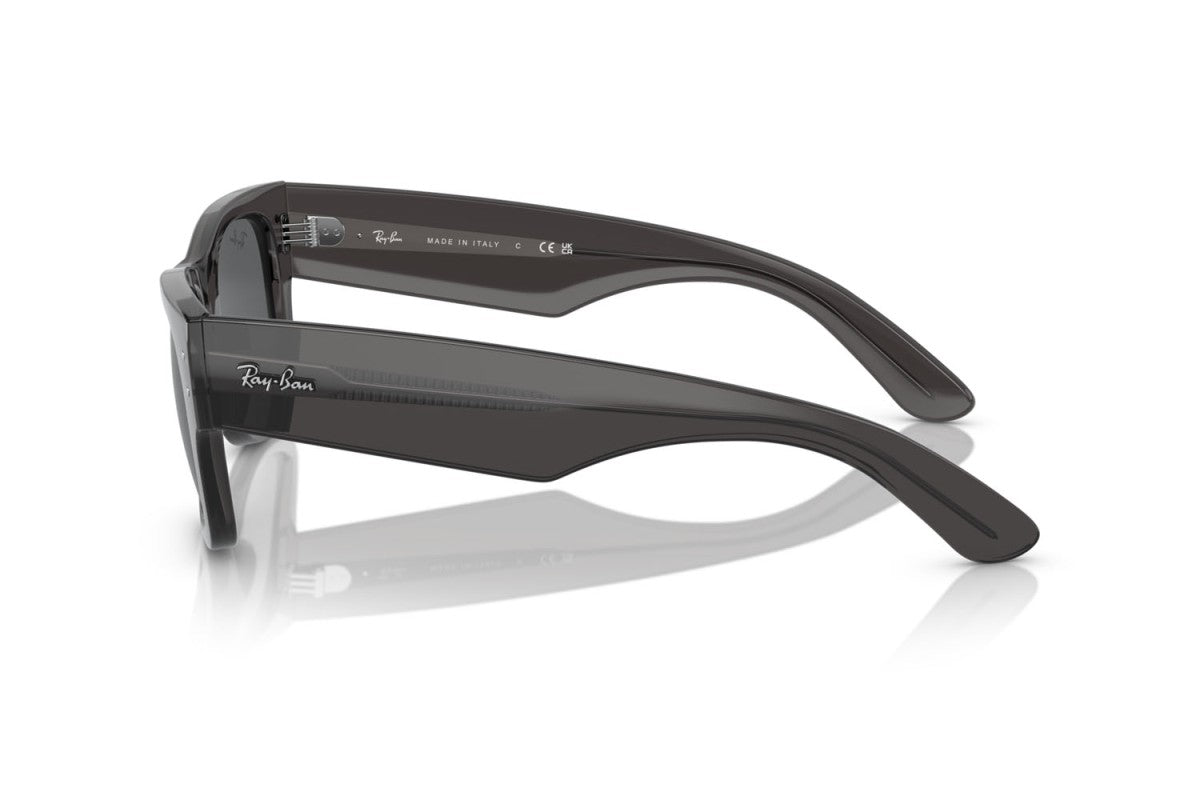 RAYBAN RB0840S
