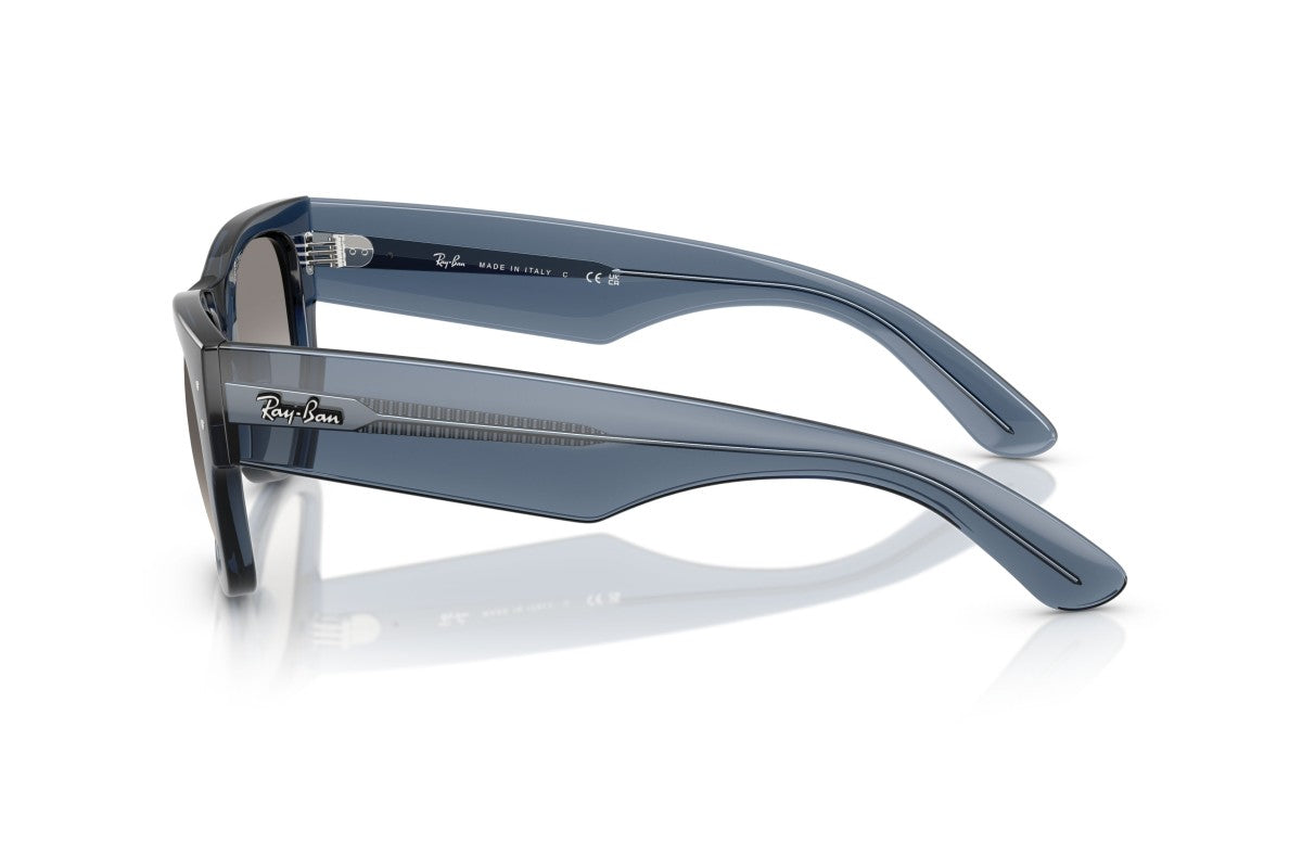 RAYBAN RB0840S