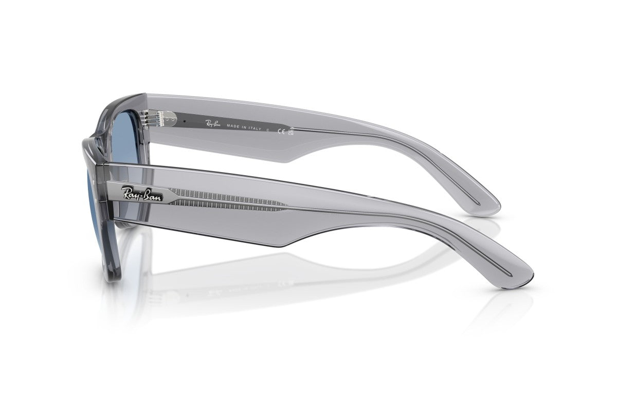 RAYBAN RB0840S