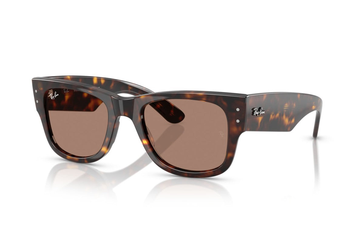 RAYBAN RB0840S