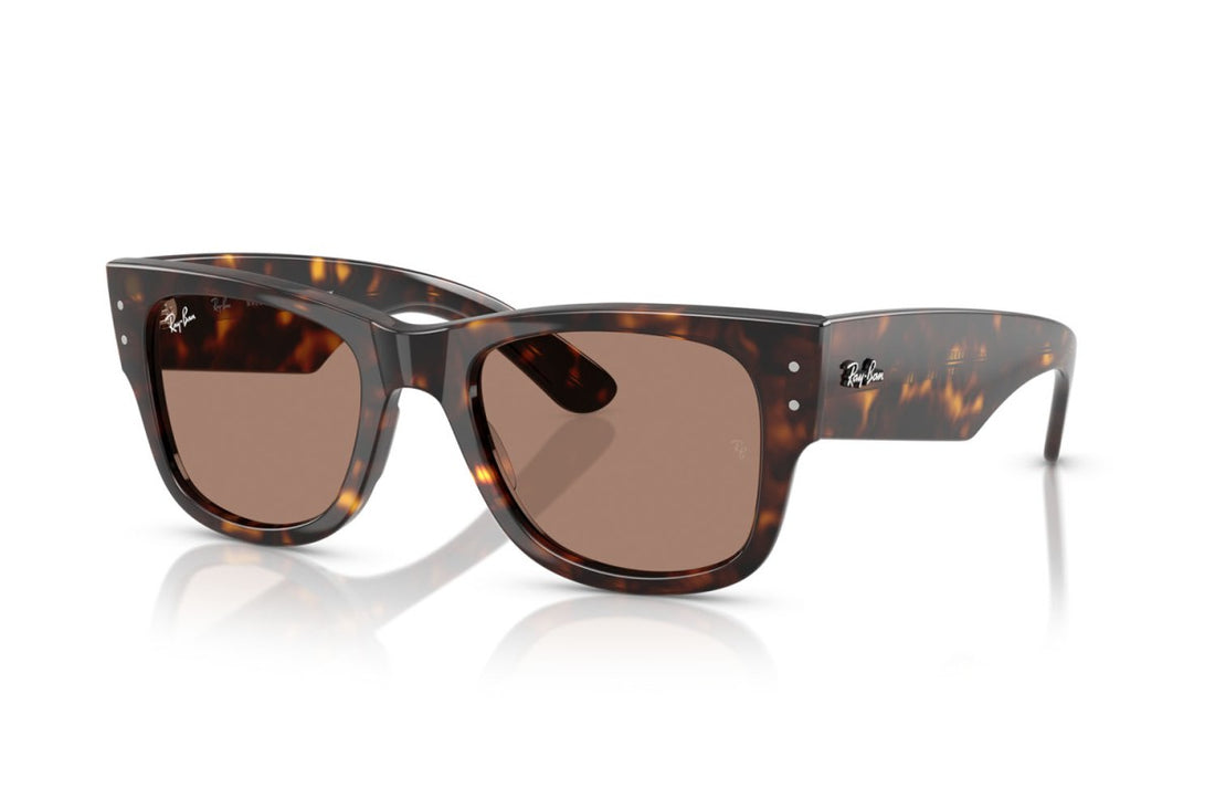 RAYBAN RB0840S