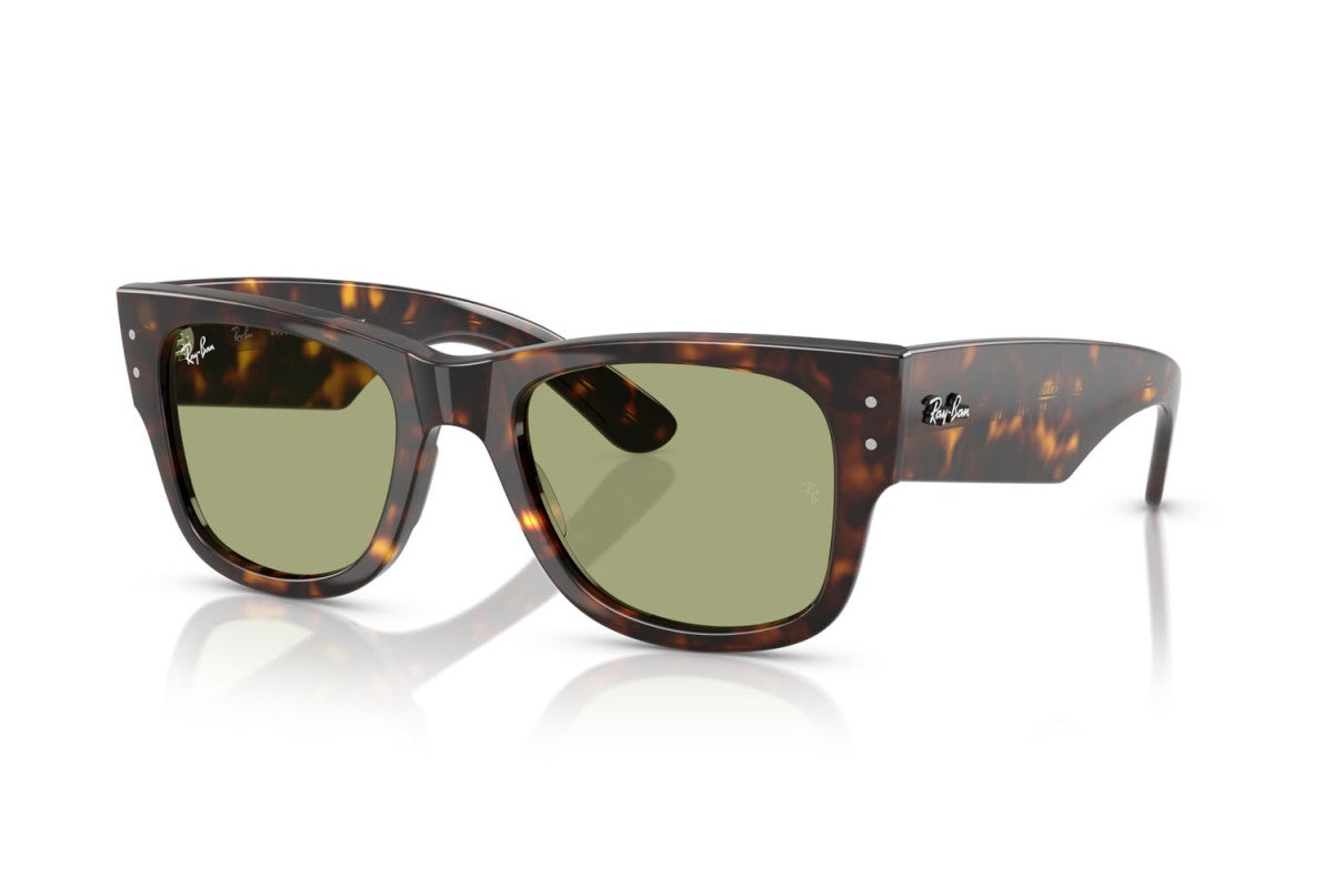 RAYBAN RB0840S